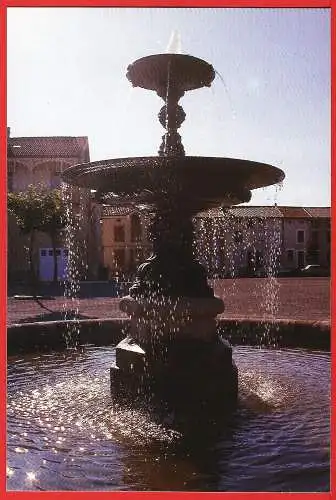 [Ansichtskarte] Hautes-Pyrénées ( 65 ) Castelnau-Magnoac : Die Brunnen von Pourcaou Platz. 