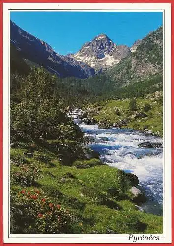 [Ansichtskarte] Hautes-Pyrénées ( 65 ) Cauterets : Das Tal des Lutour - Der Strom Gave. 