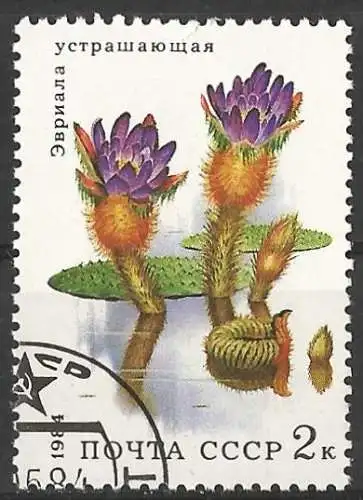 Russland 1984 - Mi 5382 - YT 5096 - Seerosenblume
