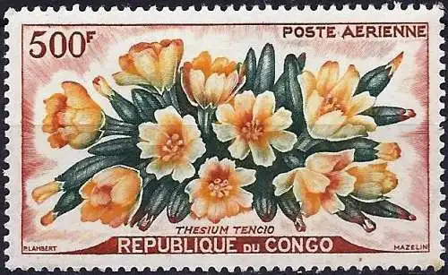 Congo (Braz) 1961 - Mi 11 - YT Pa 4 - Blumen - Flugpost