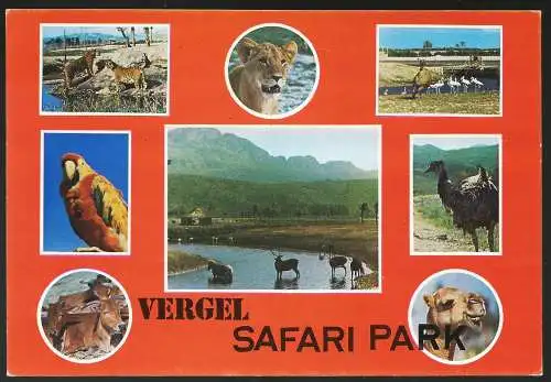 [Ansichtskarte] Spanien - Alicante : Safaripark Vergel. 