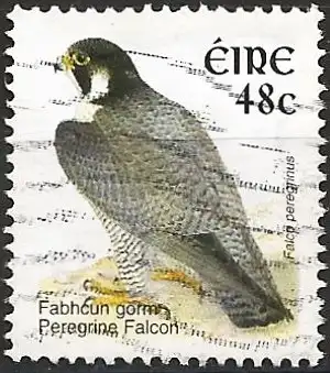 Irland 2003 - Mi 1524 A - YT 1528 - Raubvogel : Falke