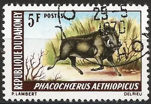 Dahomey 1969 - Mi 369 - YT 265 - Warzenschwein