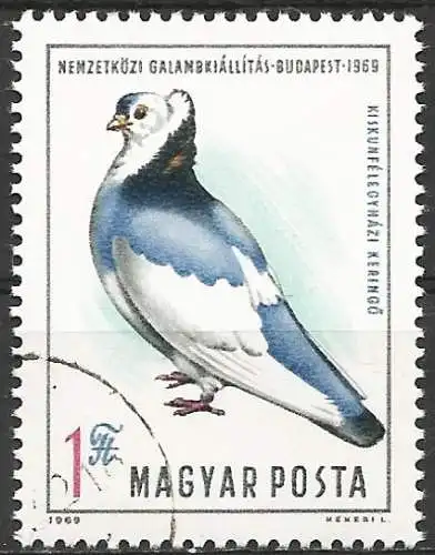 Ungarn 1969 - Mi 2562 - YT 2090 - Vogel : Taube