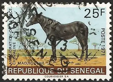 Senegal 1971 - Mi 458 - YT 349 - Pferd