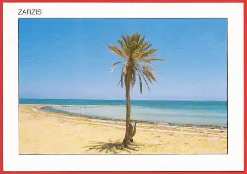 [Ansichtskarte] Tunisien - Zarzis : Der Strand. 