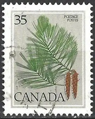 Canada 1979 - Mi 719 - YT 698 - Baum : Weiße Kiefer