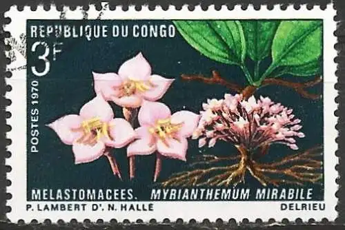 Congo (Braz) 1970 - Mi 250 - YT 270 - Blumen