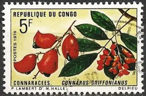 Congo (Braz) 1970 - Mi 251 - YT 271 - Blumen