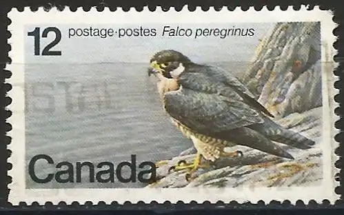 Canada 1978 - Mi 680 - YT 654 - Greifvogel: Wanderfalke