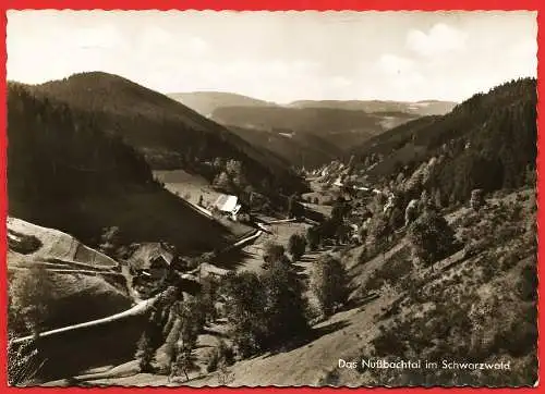 [Ansichtskarte] Deutschland - Nußbach : Tal im Schwartzwald. 