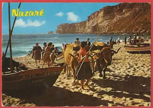 [Ansichtskarte] Portugal - Nazaré : Boote mit Ochsen hochziehen. 