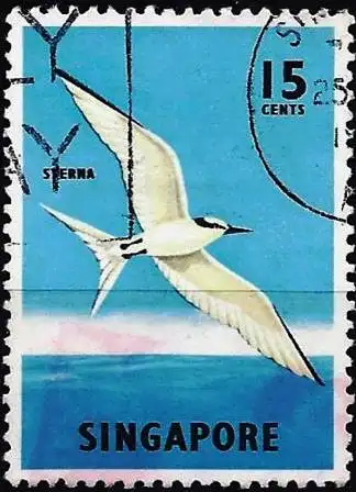 Singapur 1966 - Mi 61 - YT 57B - Vogel : Möwe