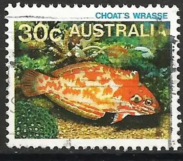 Australien 1984 - Mi 881 - YT 867 - Fisch