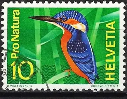 Schweiz 1966 - Mi 833 - YT 766 - Vogel : Eisvogel