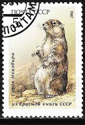 Russland 1987 -  Mi 5711 - YT 5403 - Fauna : Murmeltier