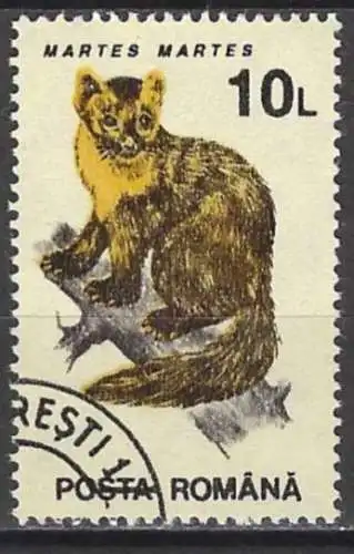 Rumänien 1993 - Mi 4901 - YT 4094 - Fauna : Baummarder