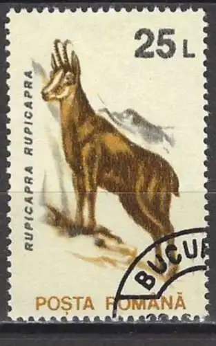 Rumänien 1993 - Mi 4904 - YT 4097 - Fauna : Gämse