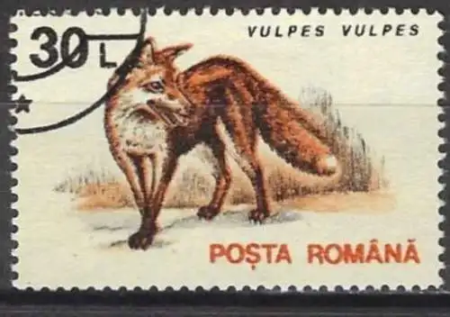 Rumänien 1993 - Mi 4905 - YT 4098 - Fauna : Fuchs
