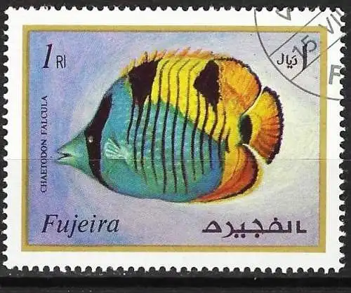 Fudschaira 1972 - Mi 1038 - YT xxx - Fisch : Schwarzkeil-Falterfisch
