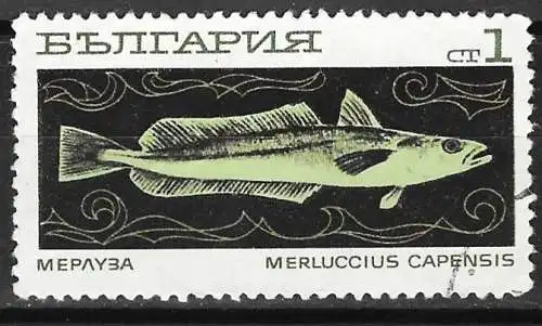 Bulgarien 1969 - Mi 1948 - YT 1733 - Fisch : Südafrikanischer Seehecht