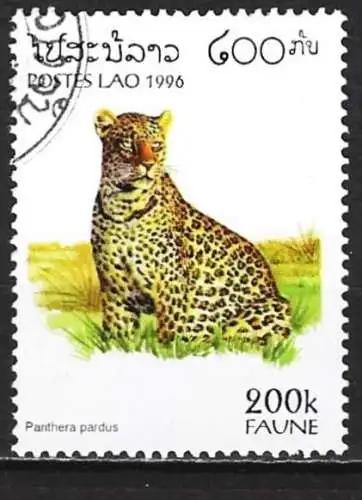 Laos 1996 - Mi 1506 - YT 1214 - Leopard