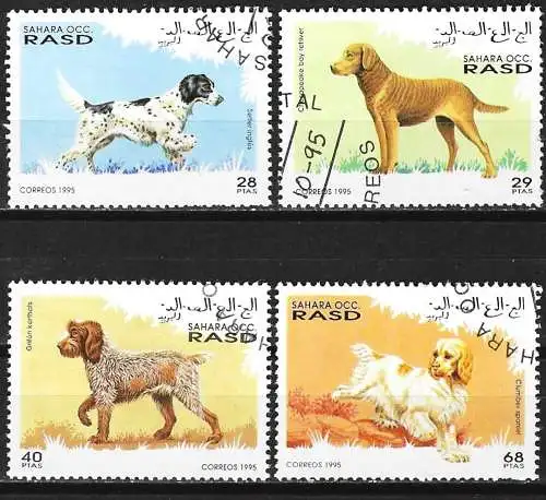 Westsahara 1995 - Hunde