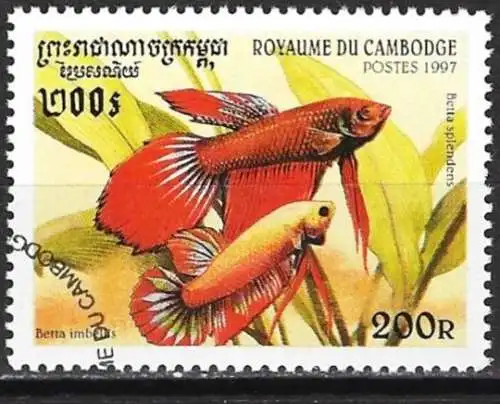 Kambodscha 1997 - Mi 1762 - YT 1468 - Fisch