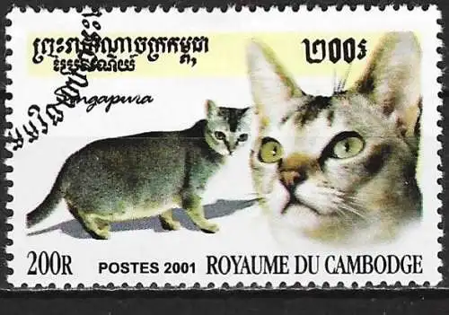 Kambodscha 2001 - Mi 2225 - YT 1866 - Katze