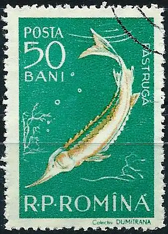 Rümanien 1957 – Mi 1689 - YT 1555 - Fisch : Stör