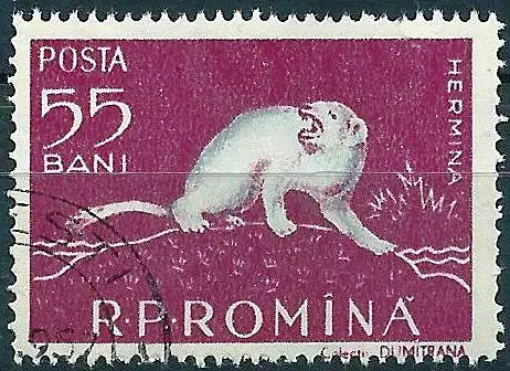 Rümanien 1957 – Mi 1690 - YT 1556 - Fauna : Hermelin