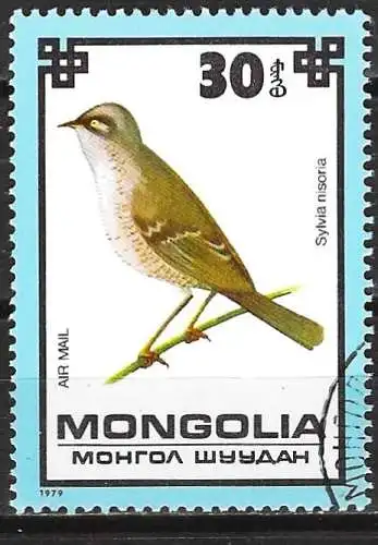 Mongolei 1979 - Mi 1257 - YT Pa 102 - Vogel ( Flugpost )