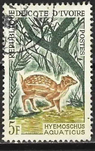 Elfenbeinküste 1964 - Mi 262 - YT 214 - Fauna : Wassereichhörnchen