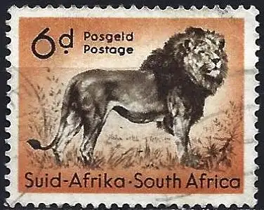 Südafrika 1954 - Mi 246 - YT 208 - Fauna : Löwe