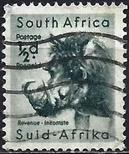 Südafrika 1954 - Mi 239 - YT 201 - Fauna : Warzenschwein