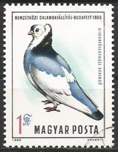 Ungarn 1969 - Mi 2562 - YT 2090 - Vogel : Taube