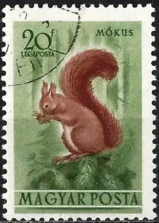 Ungarn 1953 - Mi 1285 - YT Pa 136 - Eichhörnchen ( Flugpost )