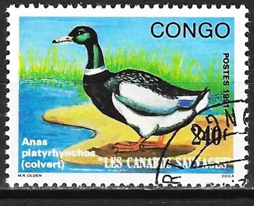 Kongo (Braz) 1991 - Mi 1266 - YT 915 - Vogel : Stockente