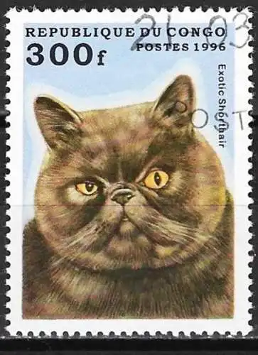 Kongo (Braz) 1996 - Mi 1454 - YT 1022D - Fauna : Katze