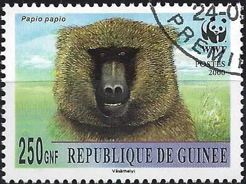 Guinea 2002 - Mi xxx - YT xxx - Fauna : Affe