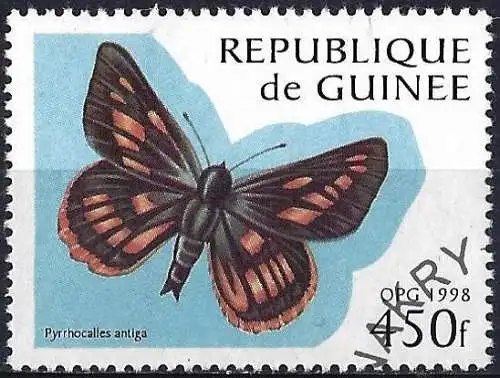 Guinea 1998 - Mi 1720 - YT 1161E - Schmetterling
