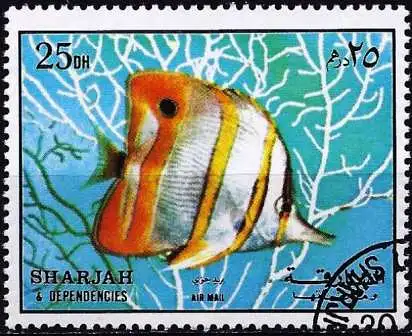 Sharjah 1972 - Mi 1194 - YT xxx - Fisch