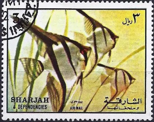 Sharjah 1972 - Mi 1199 - YT xxx - Fisch