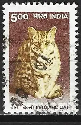 Indien 2000 - Mi 1759 - YT 1525 - Katze