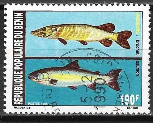 Benin 1989 - Mi 486 - YT 677 - Fische : Hecht und Atlantischer Lachs