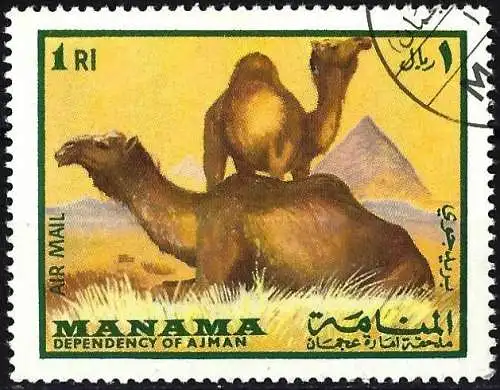 Manama 1969 - Mi 178 - YT Pa 19A - Fauna : Kamel ( Flugpost )