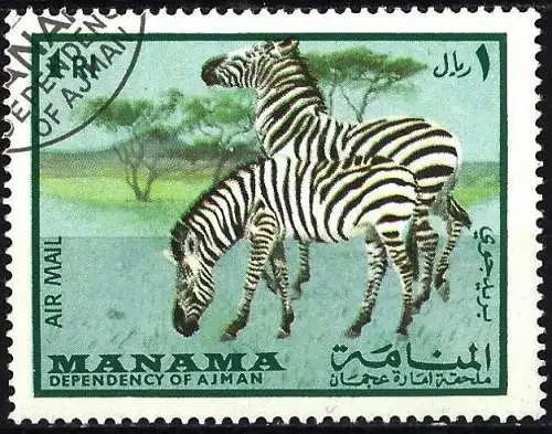 Manama 1969 - Mi 177 - YT Pa 19 - Fauna : Zebra ( Flugpost )