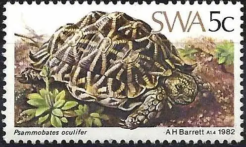 Südwestafrika 1982 - Mi 516 - YT 473 - Schildkröte - MNH**