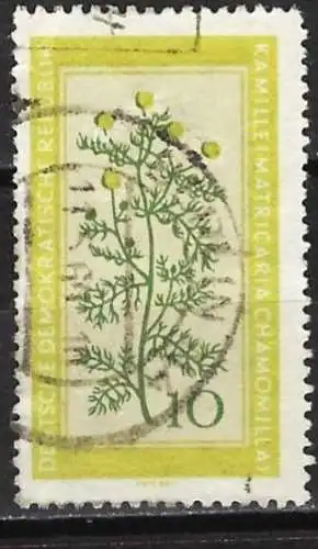 Deutschland DDR 1960 - Mi 758 - YT 472 - Heilpflanze : Kamille
