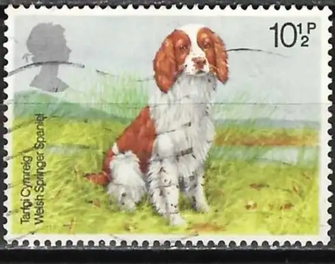 Großbritannien 1979 - Mi 782 - YT 881 - Hund Welsh Springer Spaniel 